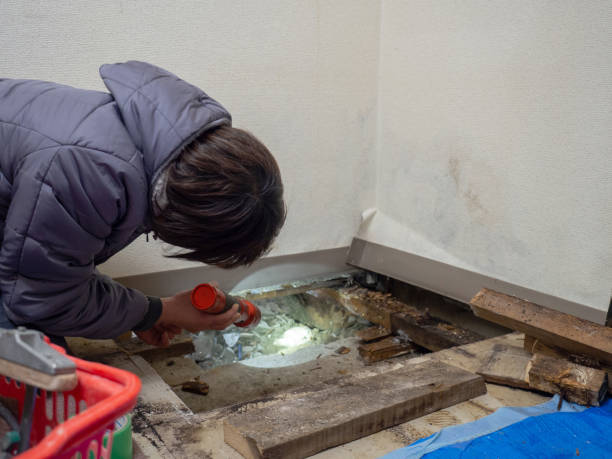 Best Mold Documentation for Insurance Claims  in Ballenger Creek, MD