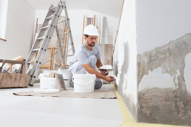 Best Crawl Space Mold Remediation  in Ballenger Creek, MD