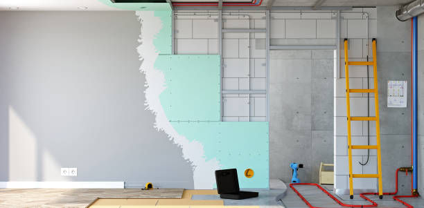 Best Biohazard Mold Removal  in Ballenger Creek, MD