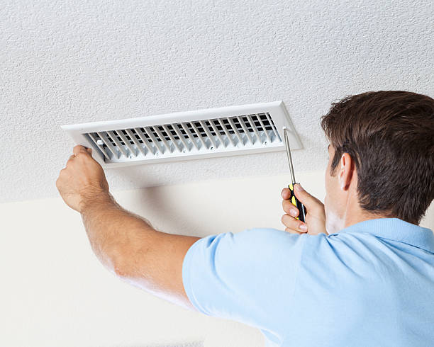 Best Mold Odor Removal Services  in Ballenger Creek, MD