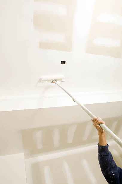 Best Black Mold Removal  in Ballenger Creek, MD