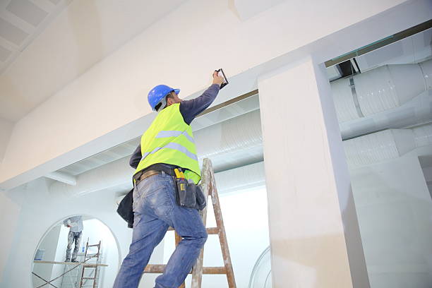 Best Emergency Mold Remediation  in Ballenger Creek, MD